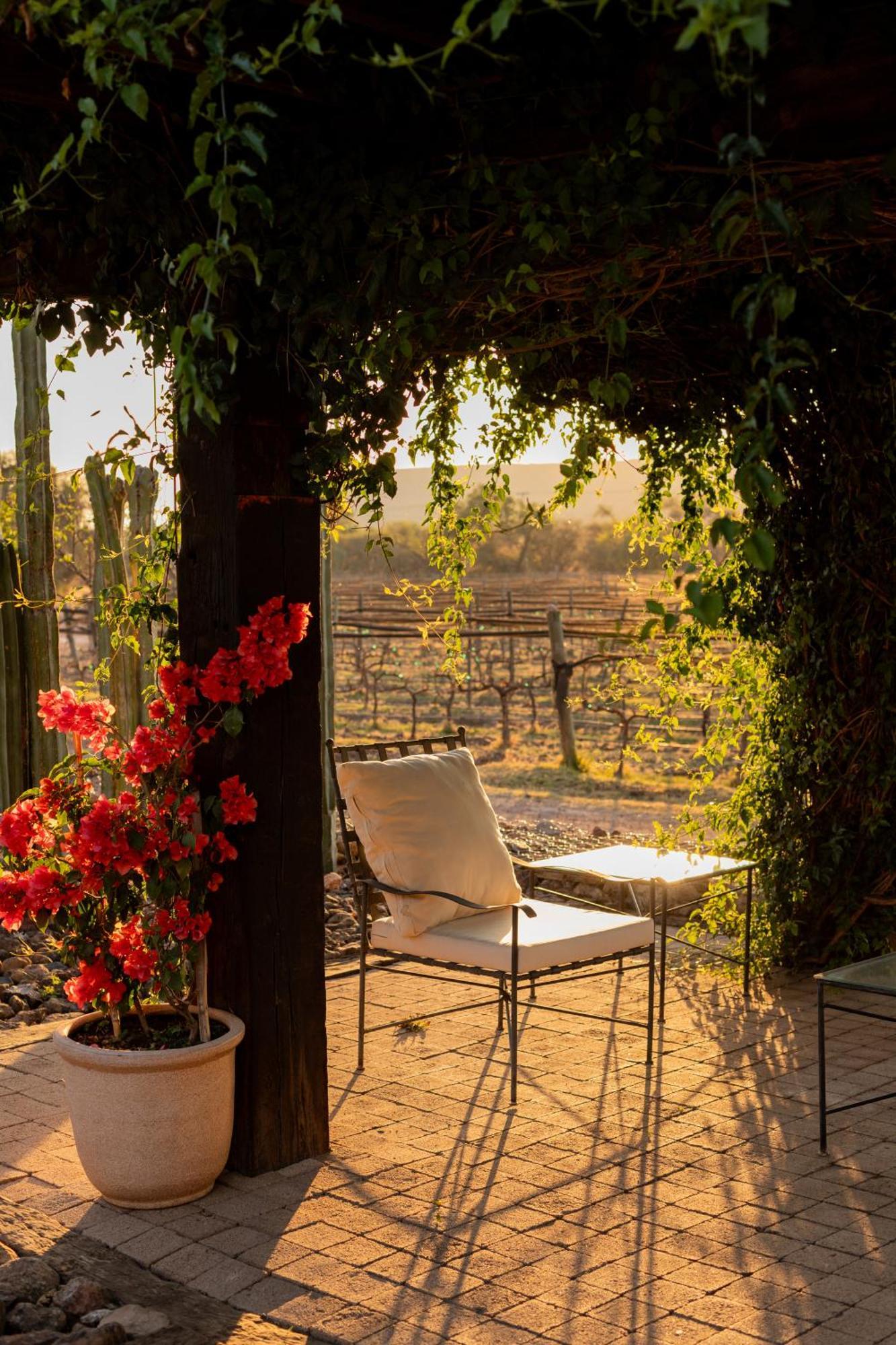 Hotel Casa De Quino Viborillas Dış mekan fotoğraf